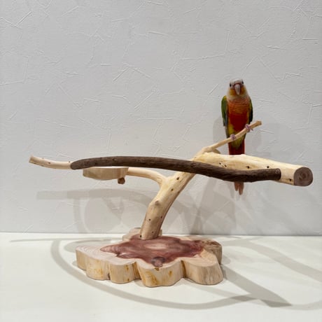 ツタとカイヅカイブキのおやつ入れ付きスタンドパーチ  【インコ 自然木 止まり木 】