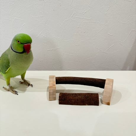 幼鳥・老鳥・介護用　置き型パーチ① 小型から中型さん