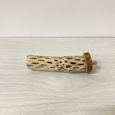 【kyoko-furumo様専用】カクタスパーチ極小　直径2〜3cm／長さ12cm