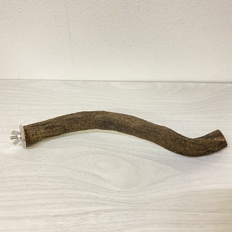 自然木（ツタ）のパーチ⑤　直径2.5cm 長さ26cm