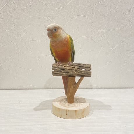 【体重測定用】カクタスのスタンドパーチ⑦　パーチ長さ10cm／高さ約10cm