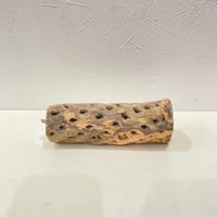 カクタスパーチ⑬ 直径約5cm/長さ15cm