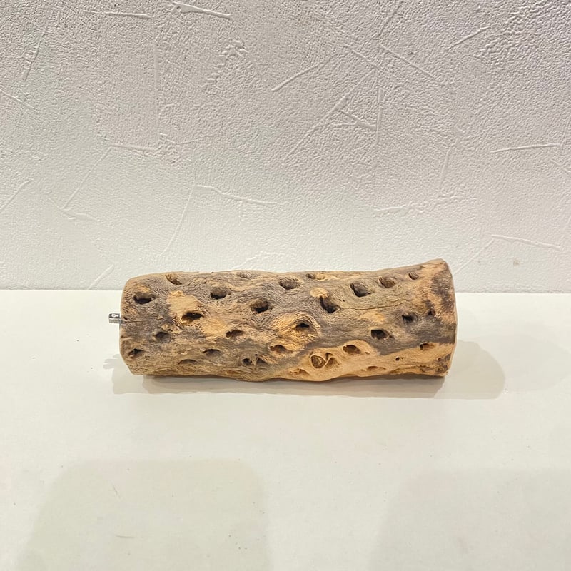 カクタスパーチ⑬ 直径約5cm/長さ15cm | 自然木の鳥用品 鳥豆堂