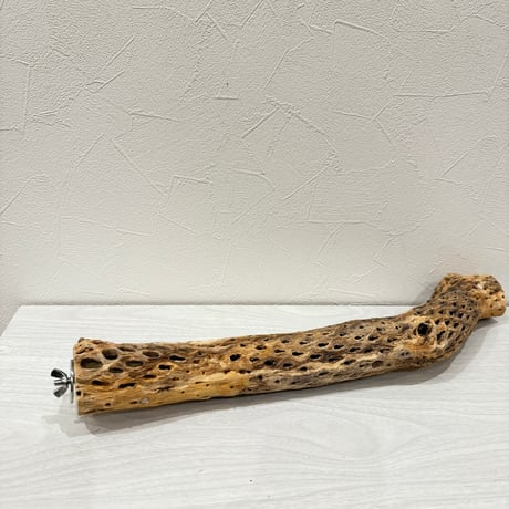 ケージサイズカクタスパーチ② 中サイズ直径4.5~5cm HOEI465サイズ