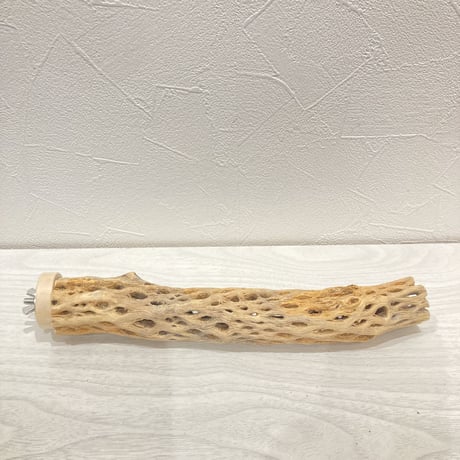 カクタスパーチ小㉗ 直径約3~4cm 長さ25cm