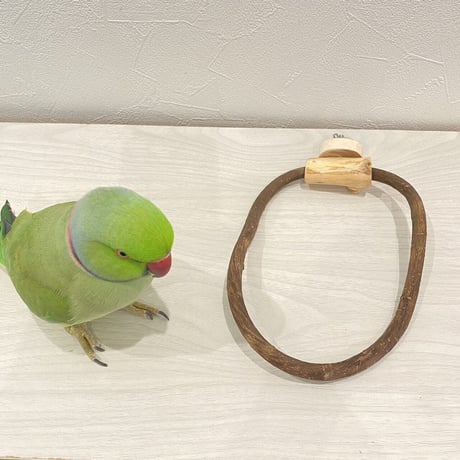 自然木（ツタ）のドーナツパーチビックサイズ  Ｈパーチ直径1cm／円直径19×13cm