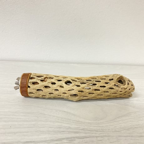 カクタスパーチ⑬ 極小サイズ 直径（約2-3cm）長さ/15cm