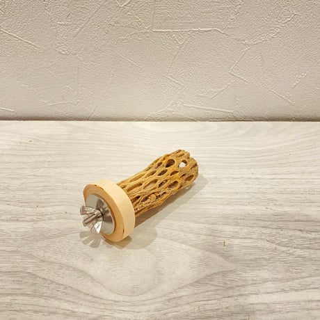 【M様専用】極小 カクタスパーチ8cm
