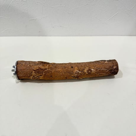 自然木（ツタ）パーチ 直径約3cm/長さ20cm