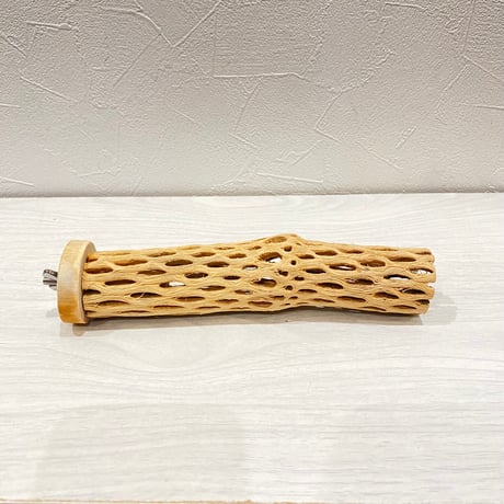 カクタスパーチ⑧ 小サイズ長さ18cm