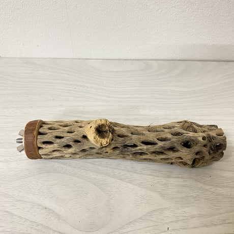 カクタスパーチ 小サイズ⑤ 直径（約3-4cm）長さ/16cm