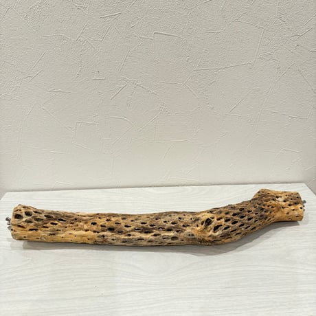 ケージサイズカクタスパーチ② 中サイズ直径4.5~5cm HOEI465サイズ