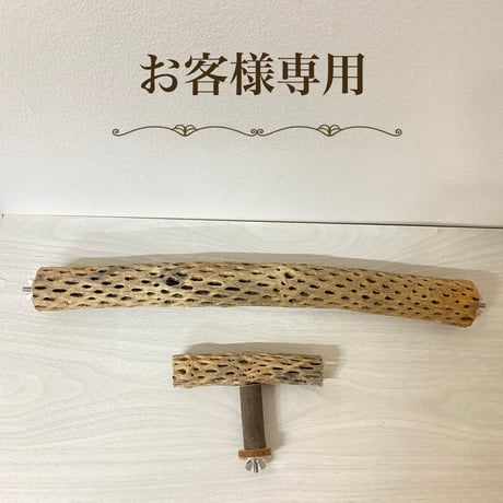 【noelnoel25様専用】カクタスのT字パーチ・ケージサイズカクタスパーチ