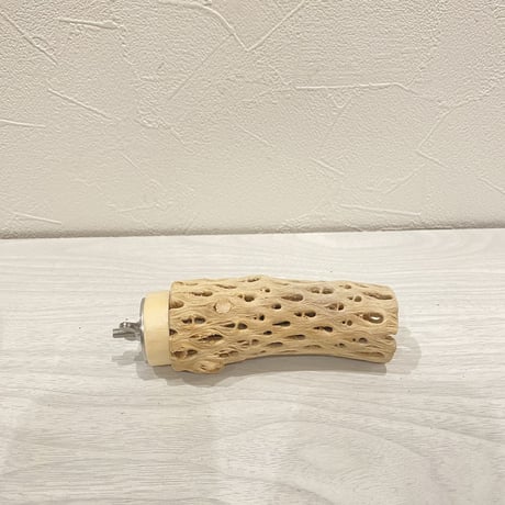 カクタスパーチ⑨  極小 直径3cm前後 長さ10cm