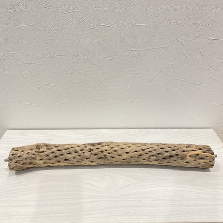 ケージサイズカクタスパーチ①  中直径約5.5cm HOEI465