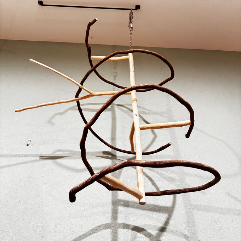 A様専用】コトリのなる木【バードアスレチック インコ天然木 自然木