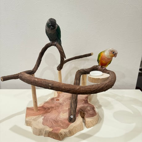 ツタのぐるっとバードアスレチック【インコのおもちゃ・自然木のとまり木】