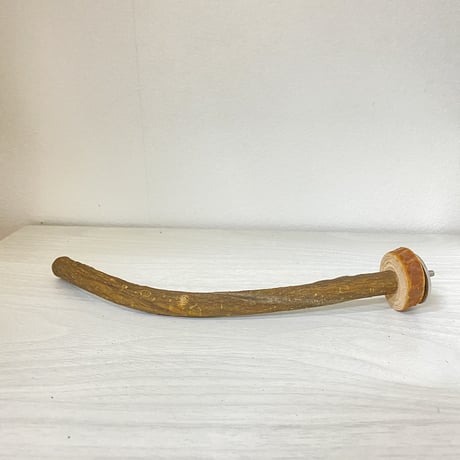 自然木（ツタ）のパーチ⑬　直径1.3cm／長さ21cm