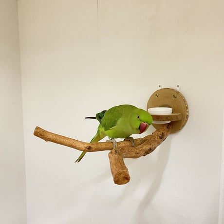 ピノキオの鼻④ 中型さん用