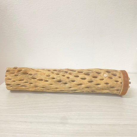 カクタスパーチ中サイズ直径（約5.5cm）／21cm ④