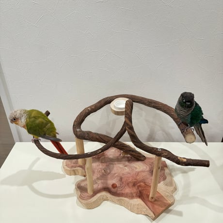 ツタのぐるっとバードアスレチック【インコのおもちゃ・自然木のとまり木】