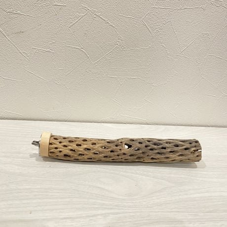 カクタスパーチ⑯ 極小サイズ直径3cm前後/22cm