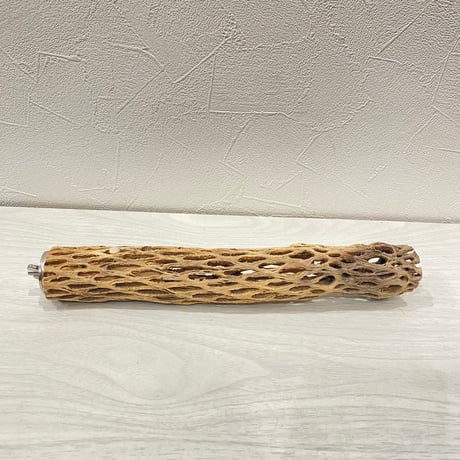 カクタスパーチ小 ⑦直径3~4cm 長さ25cm