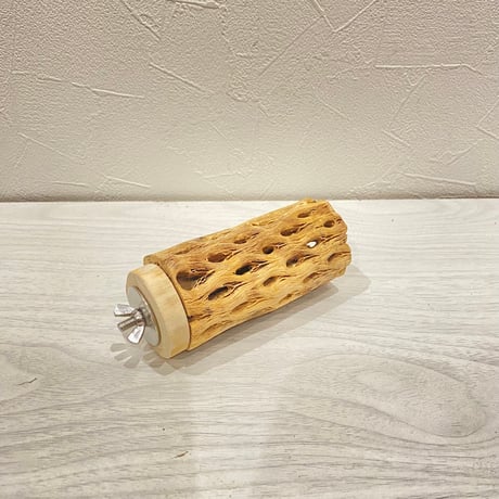 カクタスパーチ【2】直径4~5cm/長さ10cm