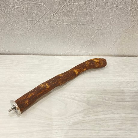 自然木（ツタ）パーチ⑨ 直径約2.2cm/長さ25cm