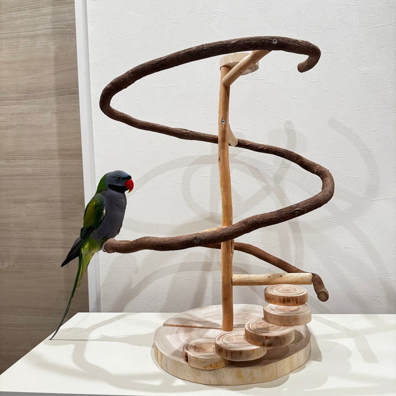 T様専用】ツタのぐるぐるアスレチック【バードアスレチック インコ天然