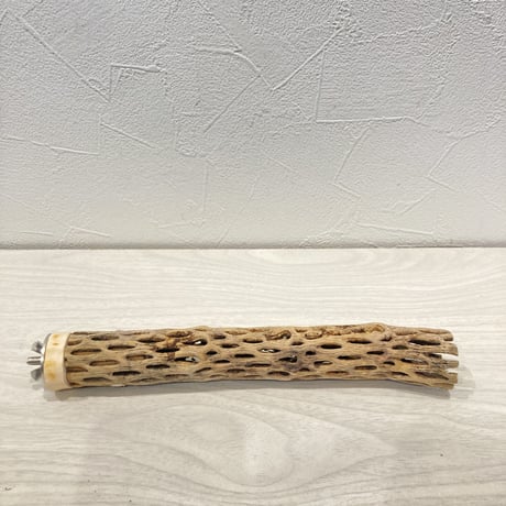 カクタスパーチ極小⑬ 直径約2~3cm 長さ20cm