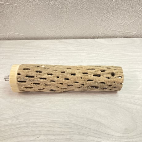 カクタスパーチ【H】小 直径4cm前後 長さ15cm