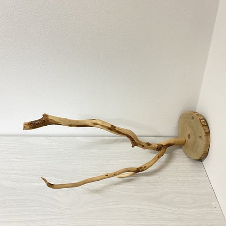 ピノキオの鼻 ③