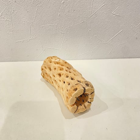 カクタスパーチ③ 直径約4.5cm/長さ12cm
