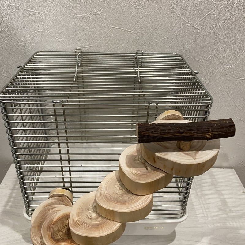 桧の螺旋階段（可動式） | 自然木の鳥用品 鳥豆堂【トリマメドウ