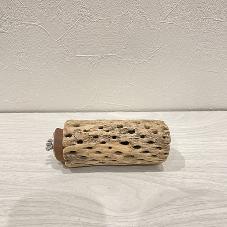 カクタスパーチ⑭  中 直径約5.5cm/11cm