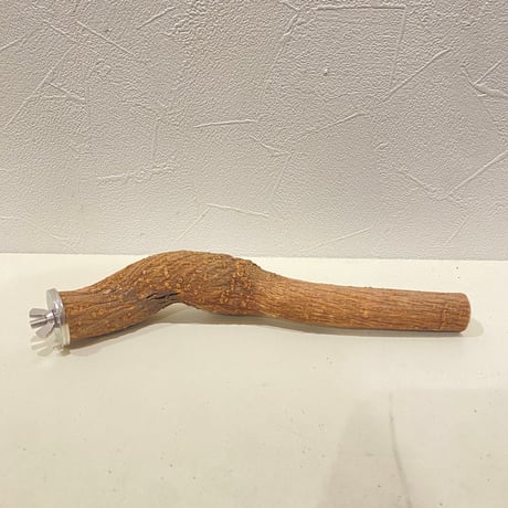 自然木（ツタ）パーチ ③ 直径約2~2.7cm/長さ21cm