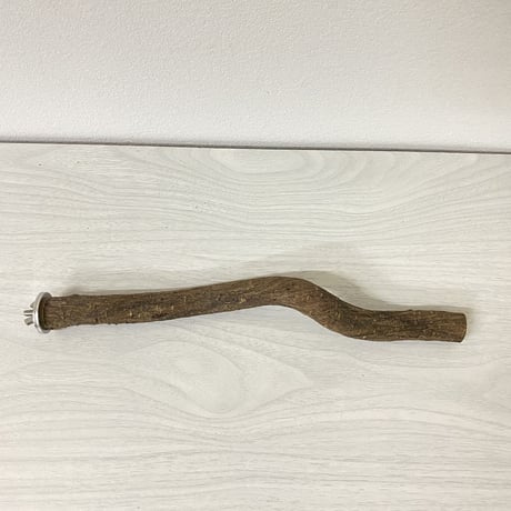自然木（ツタ）パーチ①