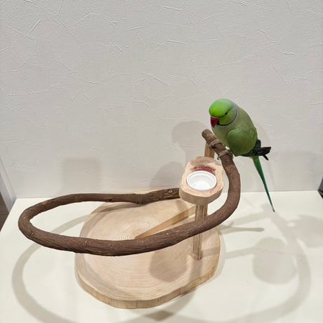 【幼鳥・老鳥・病鳥】優しいツタのスタンドパーチ【中型インコ】【インコのおもちゃ・ブランコ・自然木のとまり木】バードアスレチック