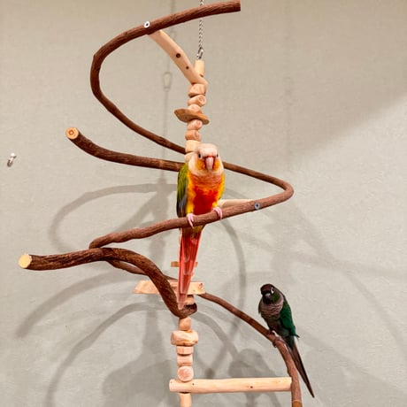コトリのなる木カスタム　つり下げゆらゆらバードアスレチック 【インコ・オウムのおもちゃ・自然木の止まり木】