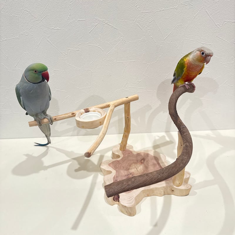 ツタと桧のおやつ入れ付きスタンドパーチ 【インコ 自然木 止まり木