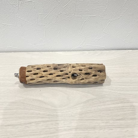 カクタスパーチ①  小 直径約3.5cm/15cm
