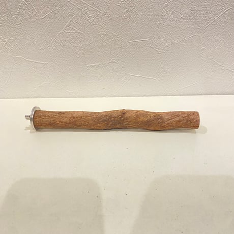 自然木（ツタ）パーチ⑦  直径約2.2cm/長さ20cm