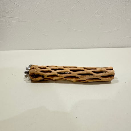 カクタスパーチ | STORES