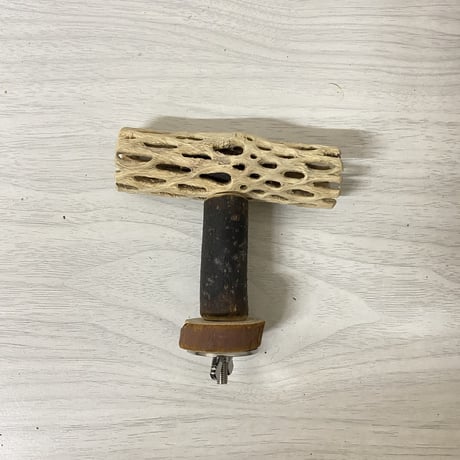 【t-k様専用】カクタスパーチ極小　直径2〜3cm／長さ10cm &15cm