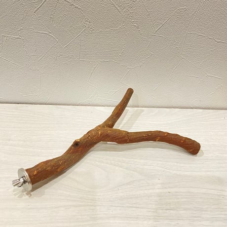 自然木（ツタ）パーチ