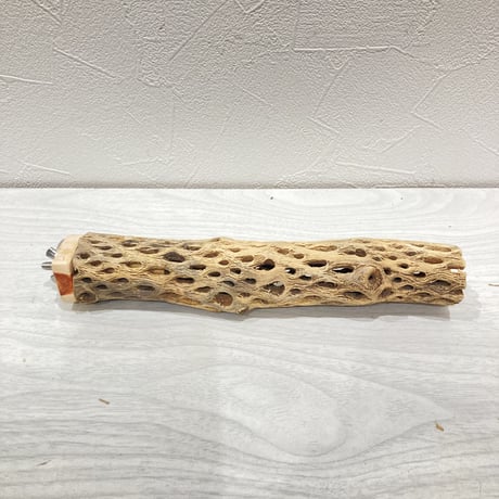 カクタスパーチ小⑧ 直径約3~4cm 長さ20cm