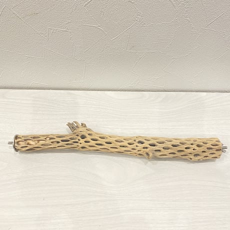 ケージサイズカクタスパーチ①  極小サイズ（直径2-3cm）HOEI35