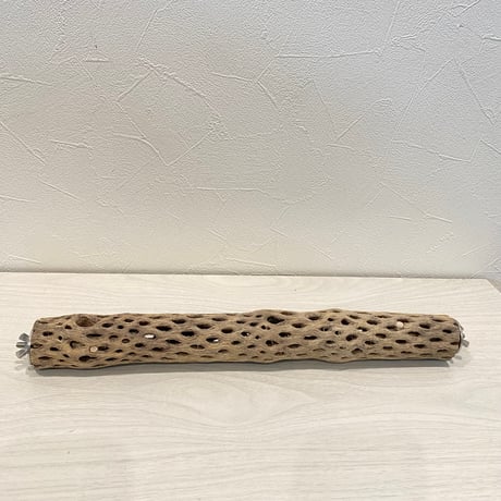 ケージサイズカクタスパーチ① HOEI35 小（直径3-4cm）