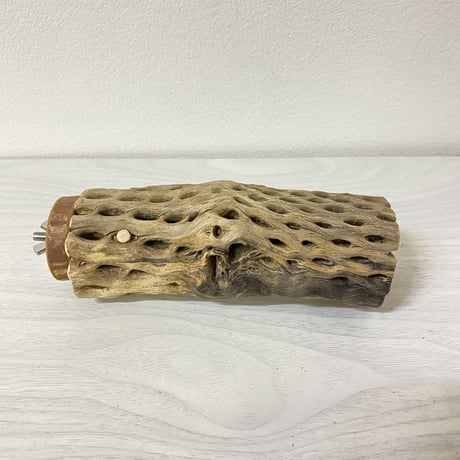 カクタスパーチ④ 中サイズ 直径（約5.5cm）長さ/15cm